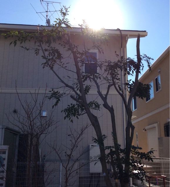 f:id:kitagawaanimals:20150113111157j:plain f:id:kitagawaanimals:20150113111157j:plain