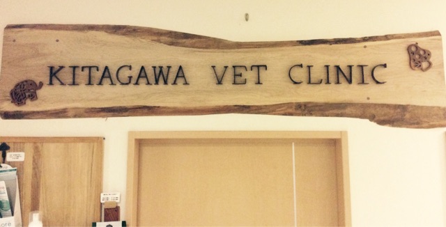 f:id:kitagawaanimals:20150204183030j:plain f:id:kitagawaanimals:20150204183030j:plain