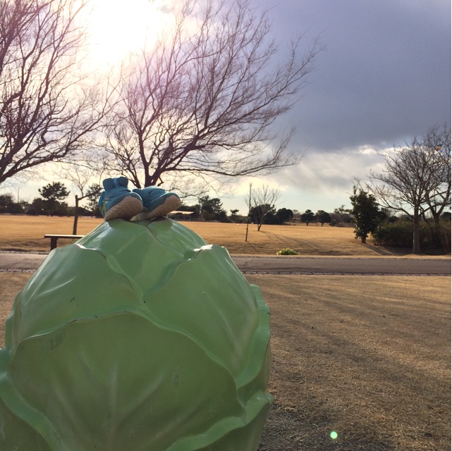 f:id:kitagawaanimals:20150227232422j:plain f:id:kitagawaanimals:20150227232422j:plain