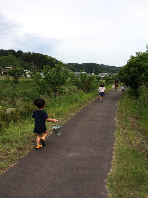 f:id:kitagawaanimals:20150523224021j:plain f:id:kitagawaanimals:20150523224021j:plain