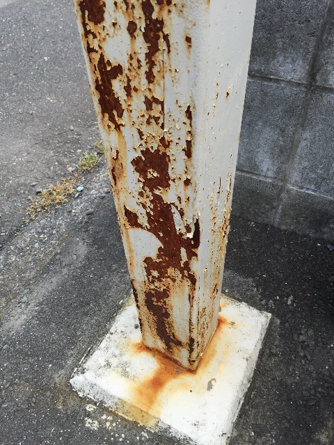 f:id:kitagawaanimals:20150613114928j:image f:id:kitagawaanimals:20150613114928j:image