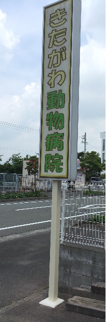f:id:kitagawaanimals:20150613115147j:image f:id:kitagawaanimals:20150613115147j:image