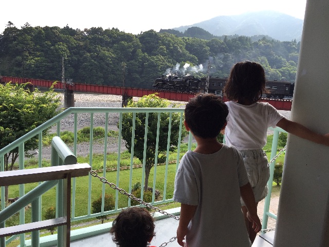 f:id:kitagawaanimals:20150708103544j:image f:id:kitagawaanimals:20150708103544j:image