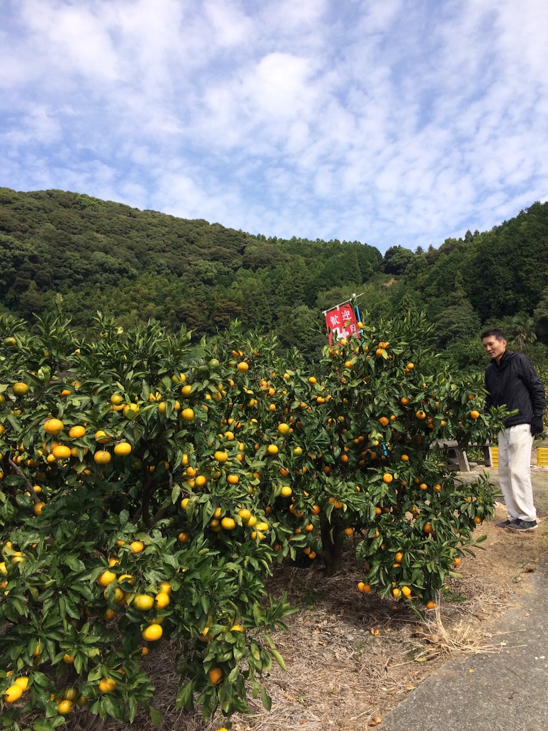f:id:kitagawaanimals:20151017225751j:image f:id:kitagawaanimals:20151017225751j:image