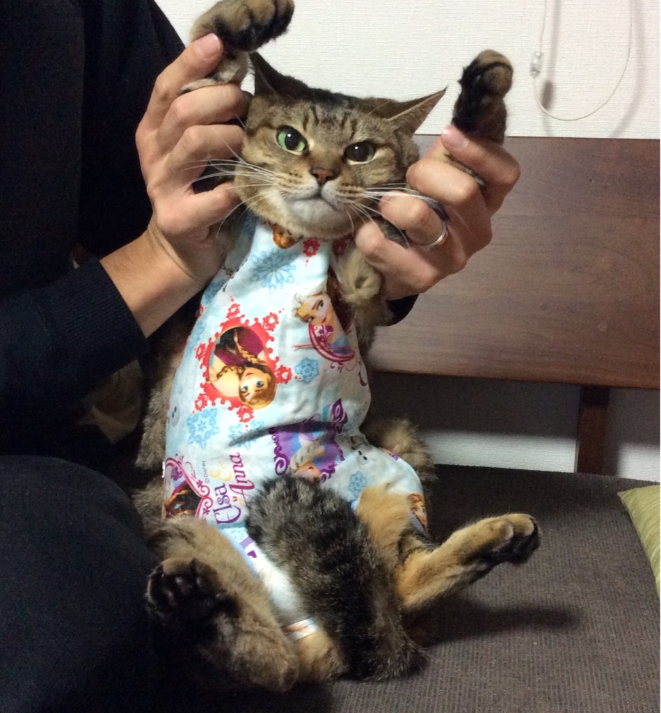 f:id:kitagawaanimals:20151125164938j:image f:id:kitagawaanimals:20151125164938j:image