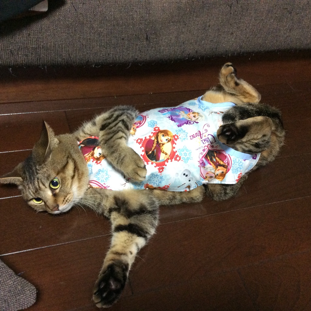 f:id:kitagawaanimals:20151125165013j:image f:id:kitagawaanimals:20151125165013j:image