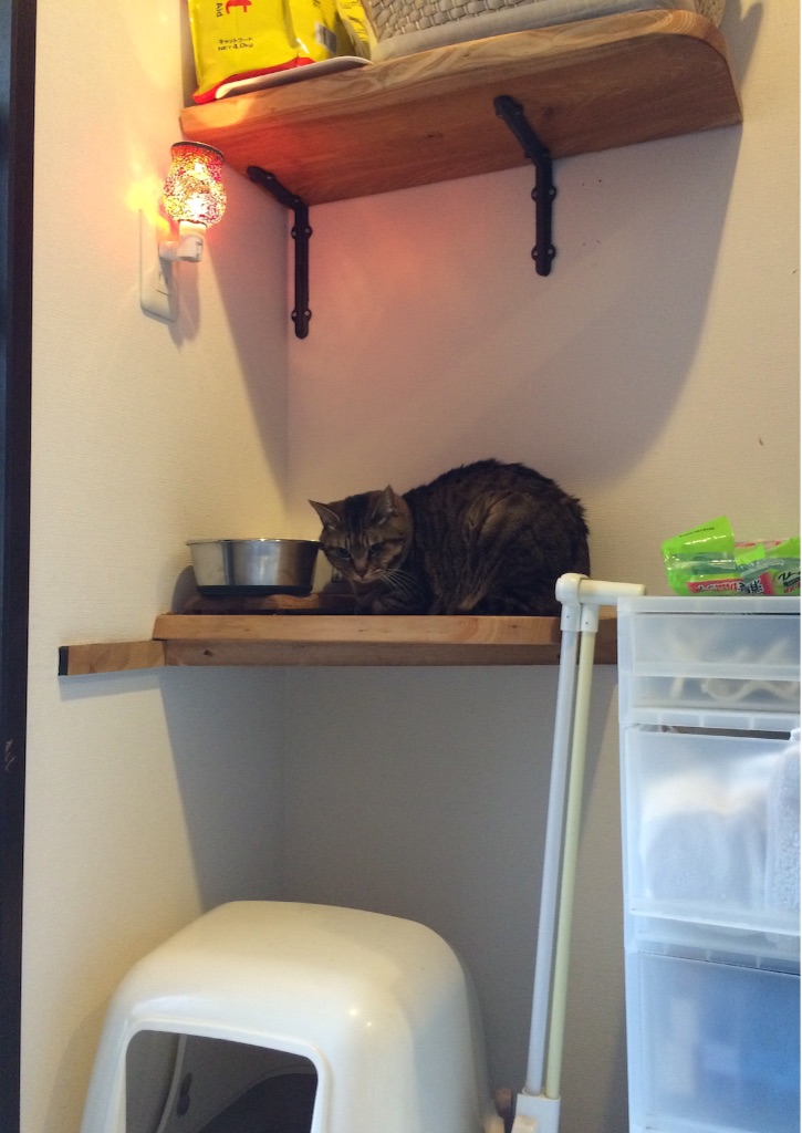 f:id:kitagawaanimals:20160117095201j:image f:id:kitagawaanimals:20160117095201j:image