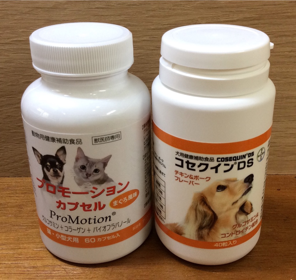 f:id:kitagawaanimals:20160119114524j:image f:id:kitagawaanimals:20160119114524j:image