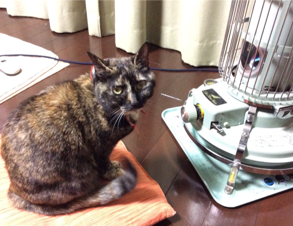 f:id:kitagawaanimals:20160119114552j:image f:id:kitagawaanimals:20160119114552j:image