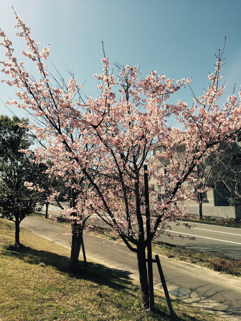 f:id:kitagawaanimals:20160320111031j:image f:id:kitagawaanimals:20160320111031j:image