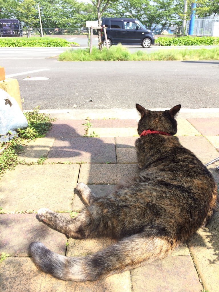 f:id:kitagawaanimals:20160509221519j:image f:id:kitagawaanimals:20160509221519j:image