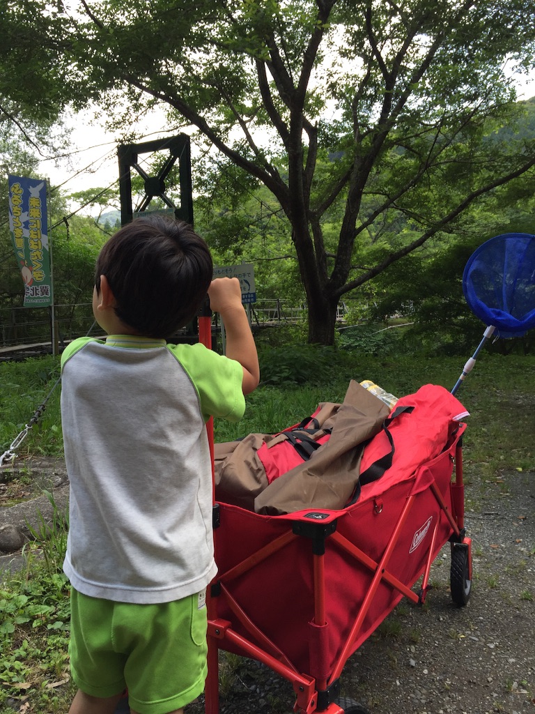 f:id:kitagawaanimals:20160610105729j:image f:id:kitagawaanimals:20160610105729j:image