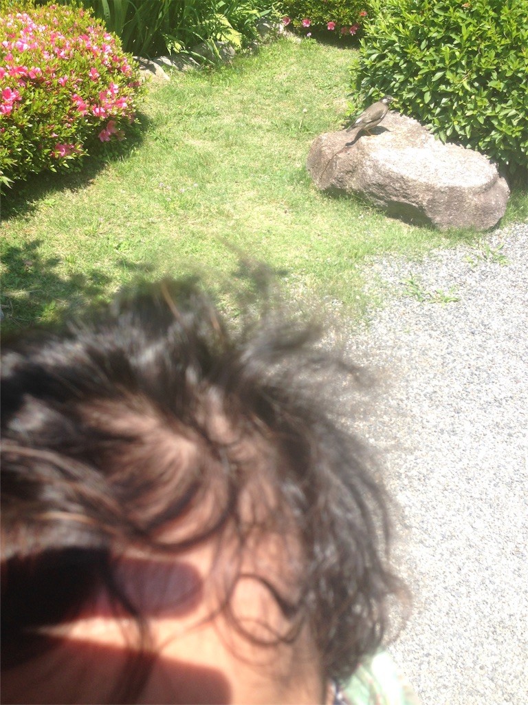 f:id:kitagawamika014:20160521081356j:image f:id:kitagawamika014:20160521081356j:image