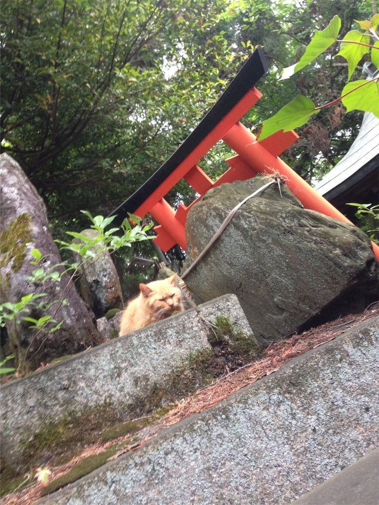 f:id:kitagawamika014:20160525084059j:image f:id:kitagawamika014:20160525084059j:image