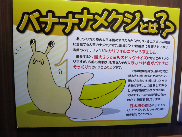 f:id:kiteretunobi:20130812190127j:plain f:id:kiteretunobi:20130812190127j:plain