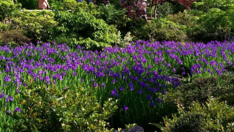 f:id:kiyamafusai:20150503200850j:plain