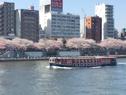 f:id:kiyasu:20150404031127p:plain f:id:kiyasu:20150404031127p:plain