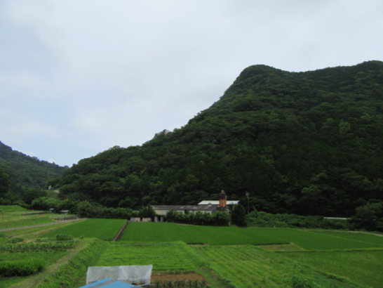 f:id:kiyasu:20150629234053p:plain f:id:kiyasu:20150629234053p:plain