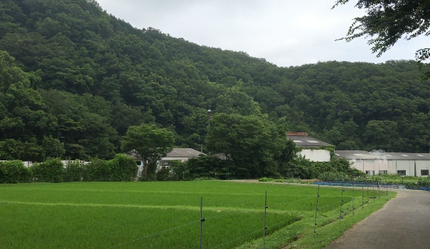 f:id:kiyasu:20150828001116p:plain f:id:kiyasu:20150828001116p:plain