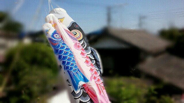 f:id:kiyo-sinobi:20160505224211j:image f:id:kiyo-sinobi:20160505224211j:image