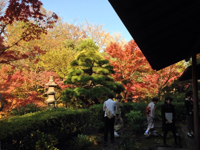 f:id:kiyohero:20131121225816j:plain f:id:kiyohero:20131121225816j:plain
