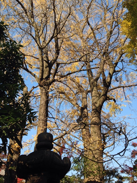 f:id:kiyohero:20131121230129j:plain f:id:kiyohero:20131121230129j:plain
