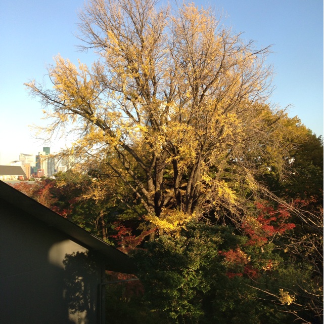 f:id:kiyohero:20131121230950j:plain f:id:kiyohero:20131121230950j:plain