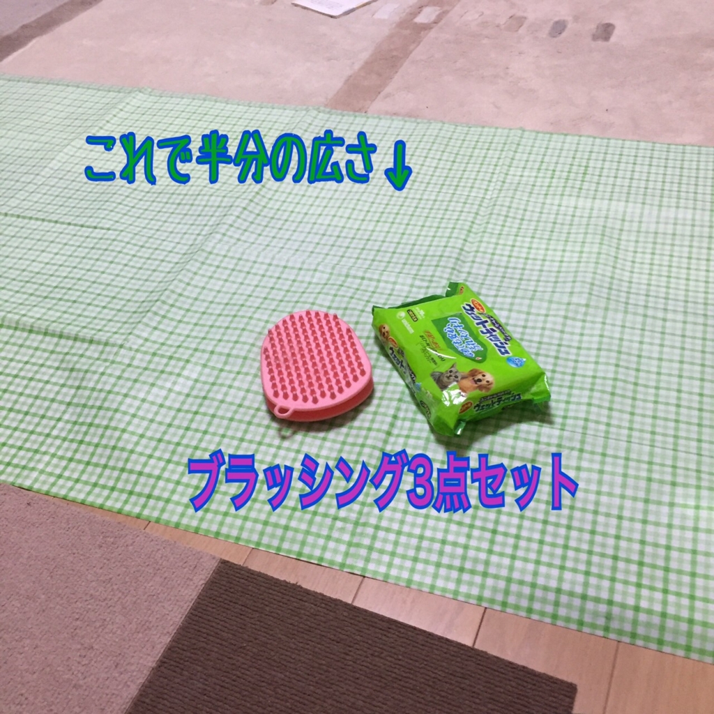 f:id:kiyomizu22233:20160403221141j:plain f:id:kiyomizu22233:20160403221141j:plain