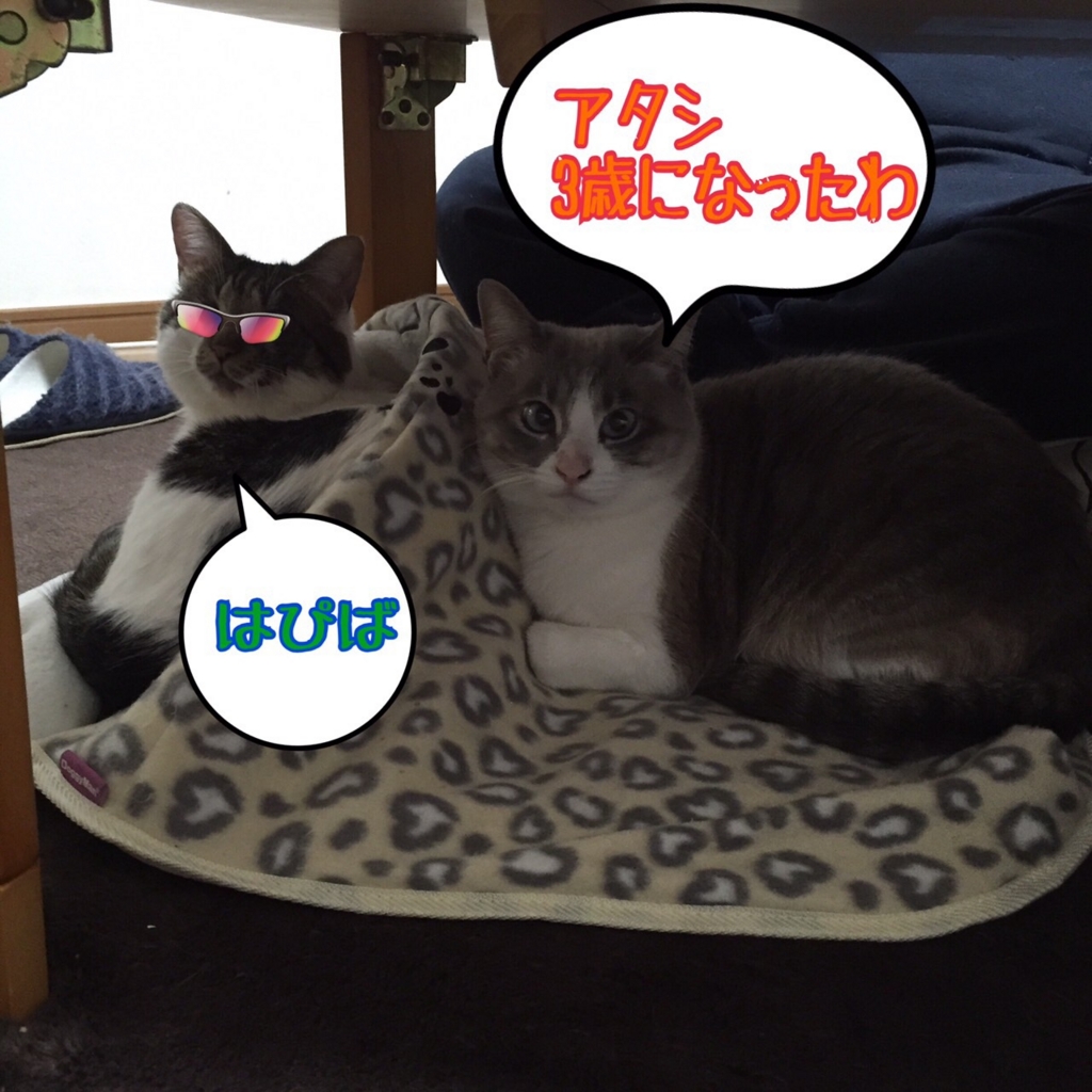 f:id:kiyomizu22233:20160403221227j:plain f:id:kiyomizu22233:20160403221227j:plain