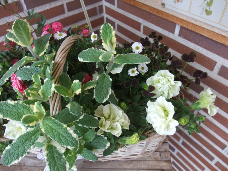 f:id:kjwnakamura:20130420101622j:plain f:id:kjwnakamura:20130420101622j:plain