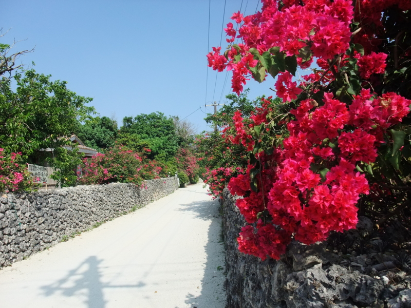 f:id:kjwnakamura:20140416154536j:plain f:id:kjwnakamura:20140416154536j:plain