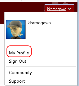f:id:kkamegawa:20130308012846p:image f:id:kkamegawa:20130308012846p:image