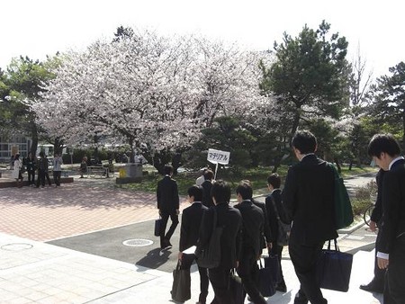 f:id:kkfruits:20080404150336j:image f:id:kkfruits:20080404150336j:image