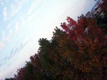f:id:kkfruits:20081110110425j:image f:id:kkfruits:20081110110425j:image