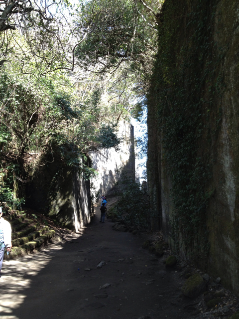 f:id:kluklu:20130419101404j:plain f:id:kluklu:20130419101404j:plain