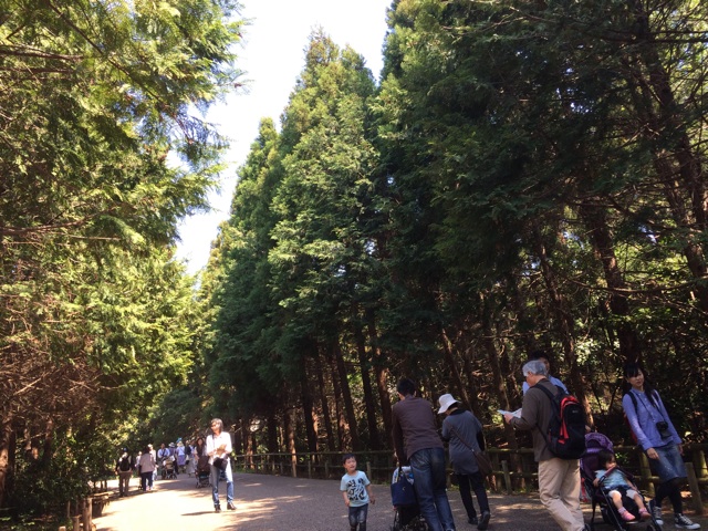 f:id:kluklu:20140427212102j:plain f:id:kluklu:20140427212102j:plain