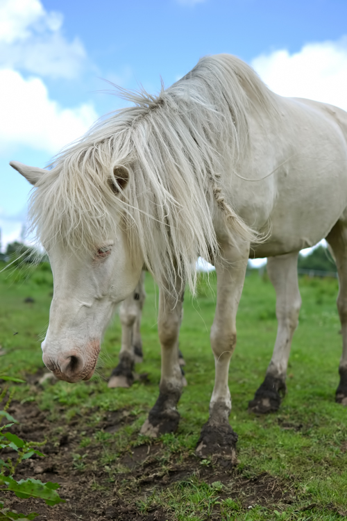 f:id:kmatz90:20141103215635j:plain f:id:kmatz90:20141103215635j:plain