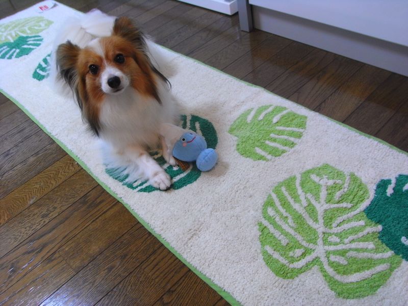 f:id:kmfactory:20100726151327j:image:w500 f:id:kmfactory:20100726151327j:image:w500