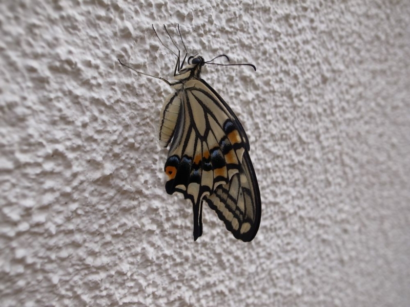 f:id:kmfactory:20110902071906j:image:w550 f:id:kmfactory:20110902071906j:image:w550