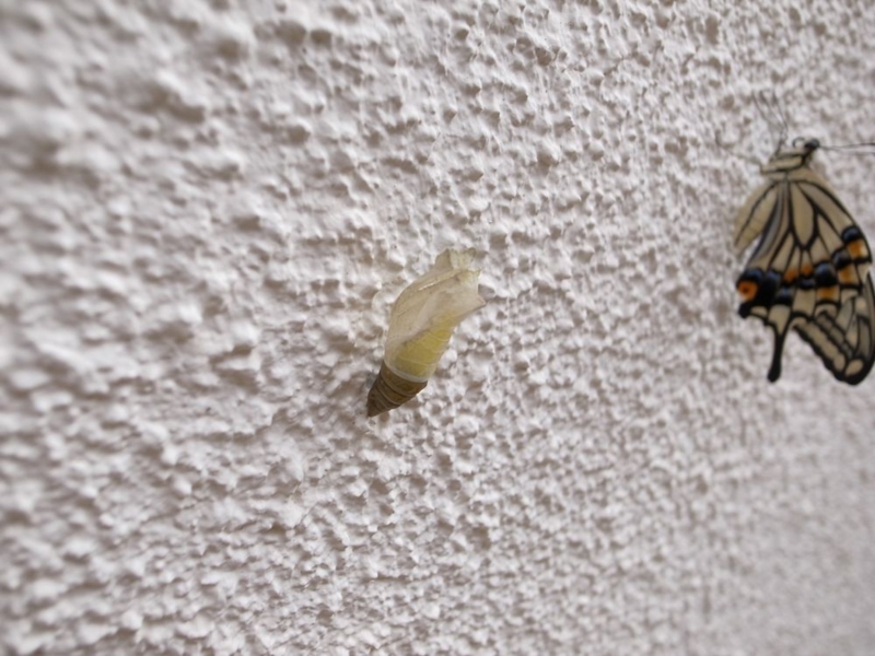 f:id:kmfactory:20110902071941j:image:w550 f:id:kmfactory:20110902071941j:image:w550