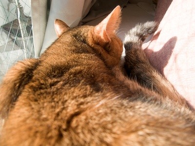 f:id:kmochi:20120106143050j:image f:id:kmochi:20120106143050j:image