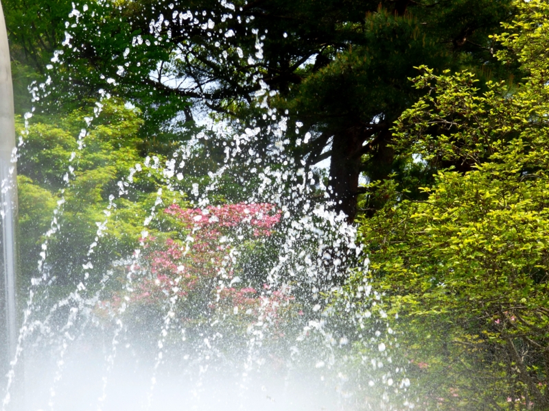 f:id:kmssmint:20150503213917j:plain f:id:kmssmint:20150503213917j:plain