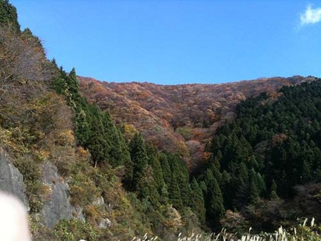 f:id:kmx1328:20091115114830j:image f:id:kmx1328:20091115114830j:image