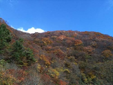 f:id:kmx1328:20091115115645j:image f:id:kmx1328:20091115115645j:image