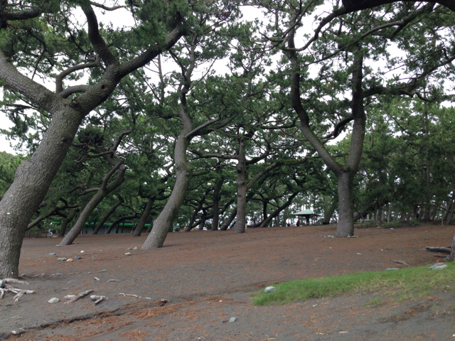 f:id:knd3a:20130706162959j:plain f:id:knd3a:20130706162959j:plain