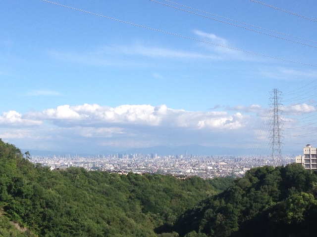 f:id:knjshiraishi:20150611220216j:image f:id:knjshiraishi:20150611220216j:image