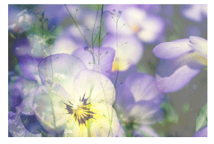 f:id:knkasay:20150416180140p:plain f:id:knkasay:20150416180140p:plain