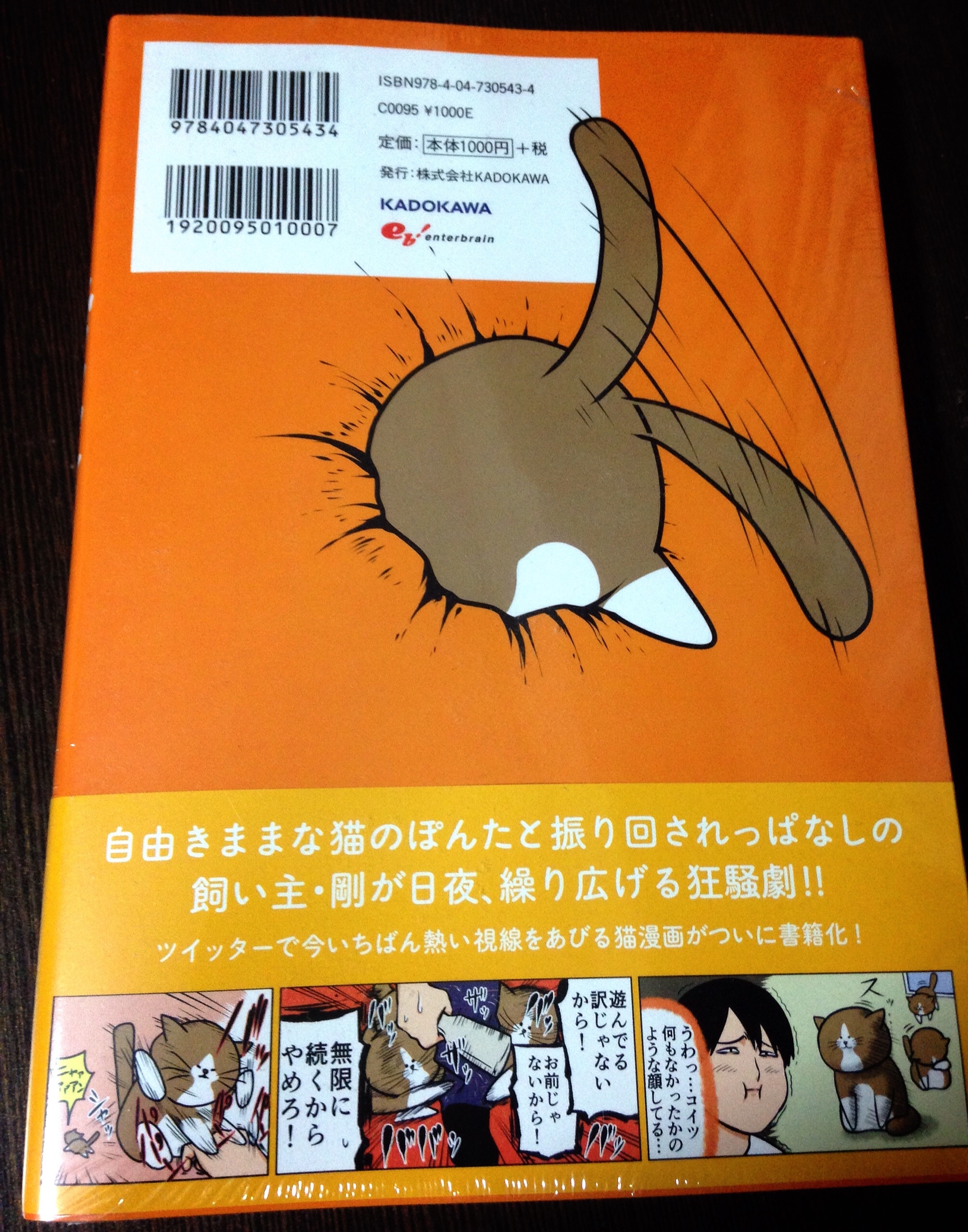 f:id:knkbbknk:20151101121701j:image f:id:knkbbknk:20151101121701j:image