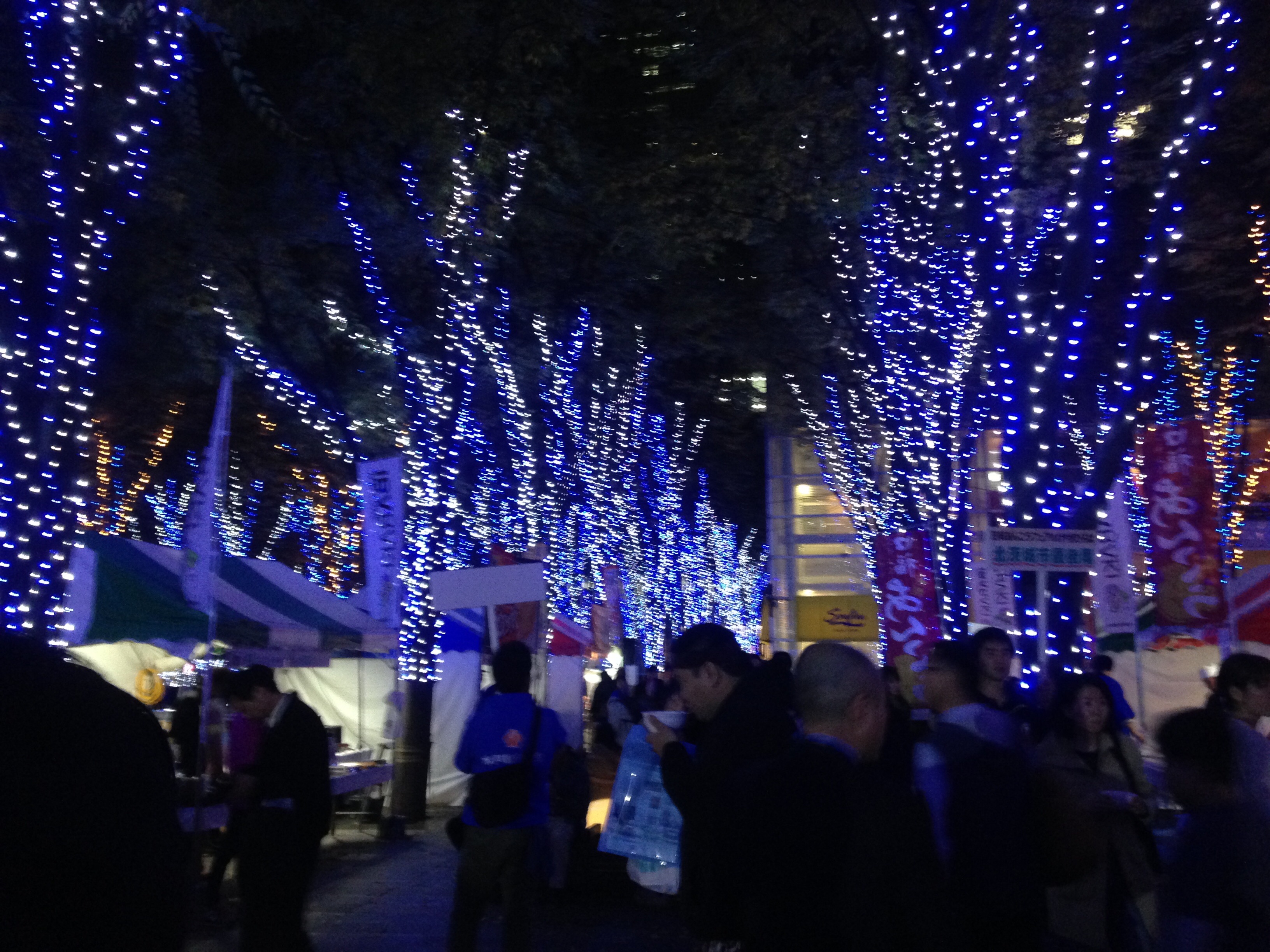 f:id:knkbbknk:20151117202249j:image f:id:knkbbknk:20151117202249j:image
