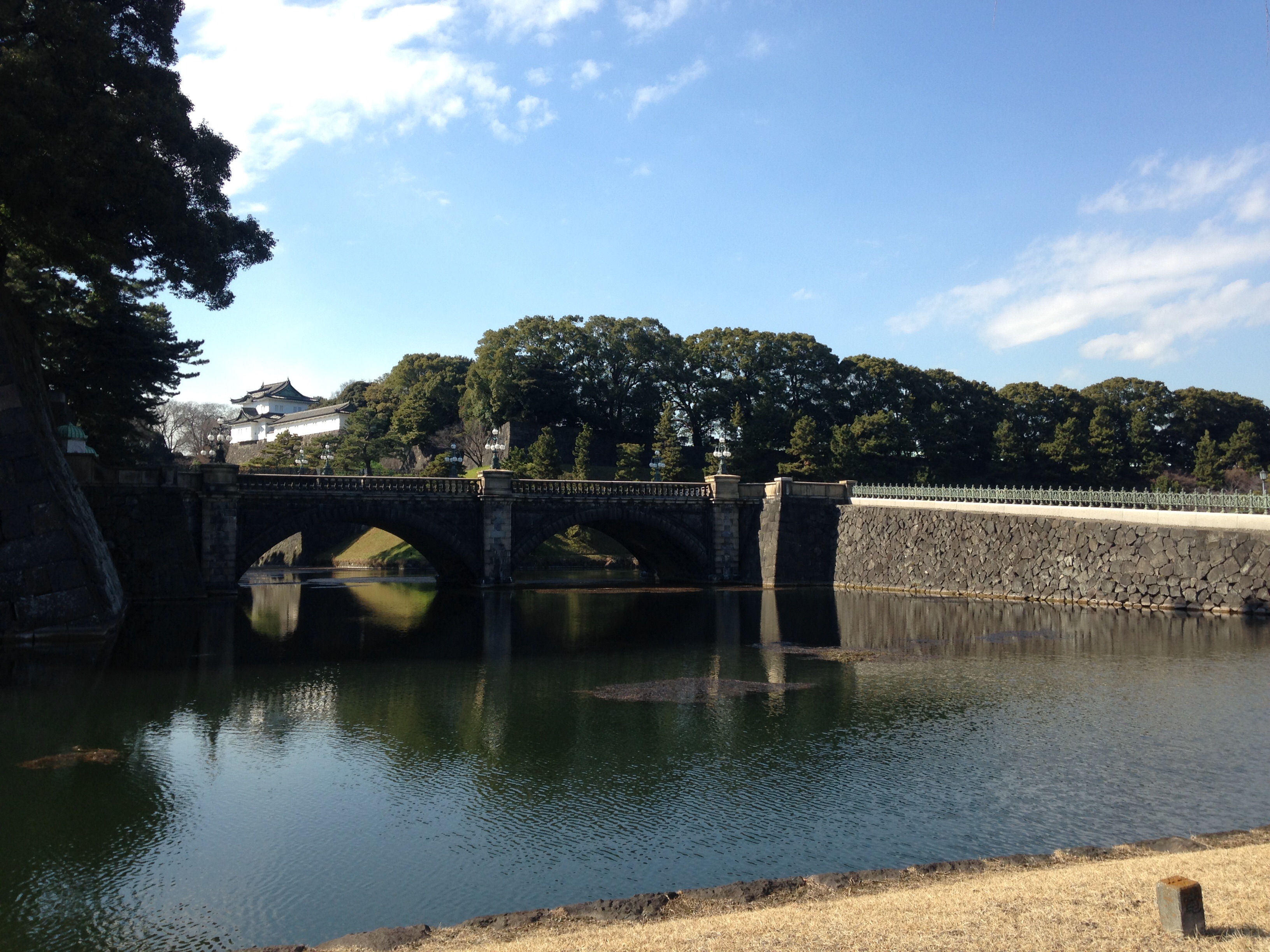f:id:knkbbknk:20160227211046j:image f:id:knkbbknk:20160227211046j:image